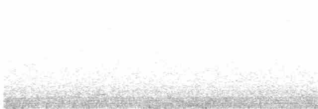 pěvuška skalní (ssp. ocularis) - ML166068681