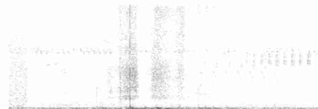 Black-throated Gray Warbler - ML166124661