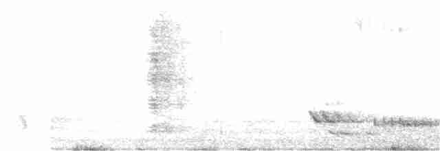 Méliphage carillonneur - ML166175931