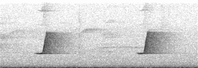 Spotted Jewel-babbler - ML166185131