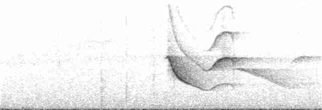 Kestane Sırtlı Balkuşu - ML166190151