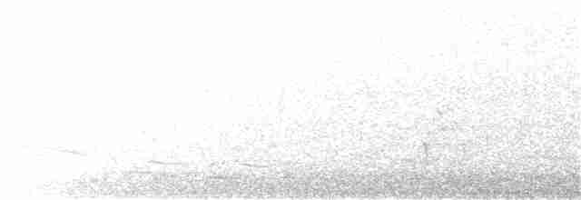 Fan-tailed Cuckoo - ML166194671