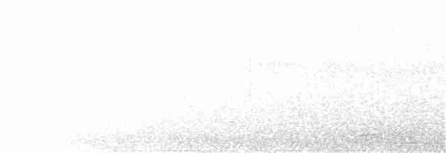 Веерохвостая кукушка - ML166194791