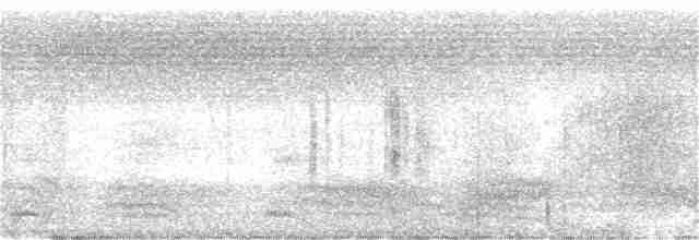 Пятнистогрудая тимелия-говорушка - ML166195251