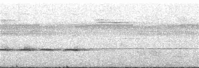 Benekli Çilardıcı - ML166195701