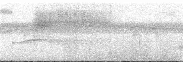 Pracht-Kragenparadiesvogel - ML166196481