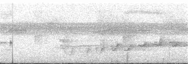 Méliphage à gorge noire - ML166196531