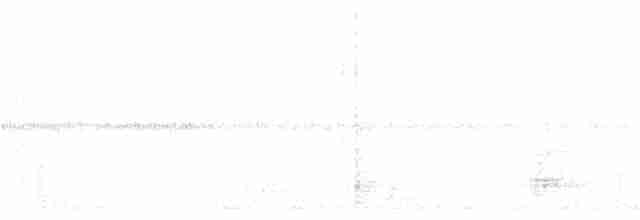 Effraie des clochers (groupe tuidara) - ML166199121