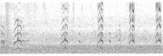 Boz Düdükçün (semipalmata) - ML166212291