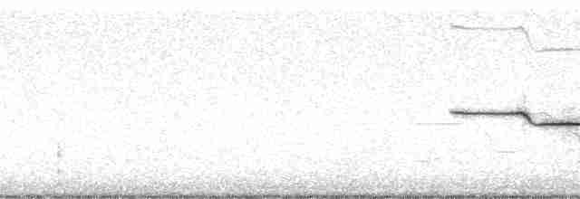 Bruant à couronne blanche - ML16625