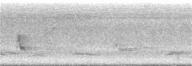 svartkroneskogtrost - ML166263001