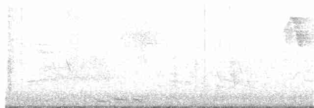 Black-billed Cuckoo - ML166270101