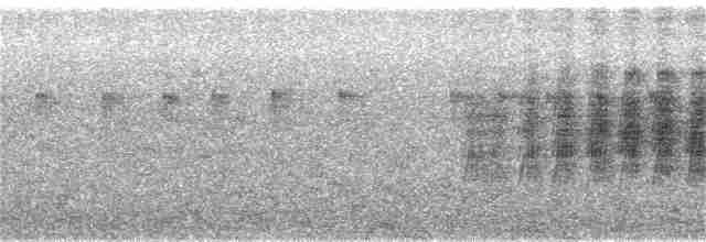Kestane Karınlı Lacivert Öfonya - ML166276301