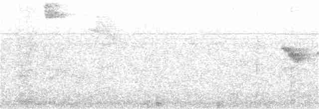 Perlenkehl-Ameisenschlüpfer - ML166283091