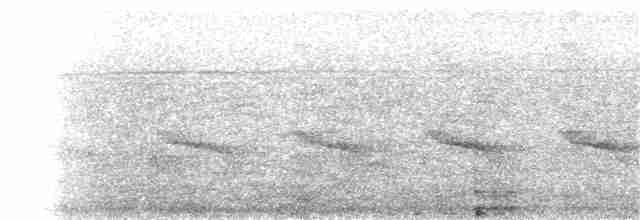 Crescent-chested Puffbird - ML166284171