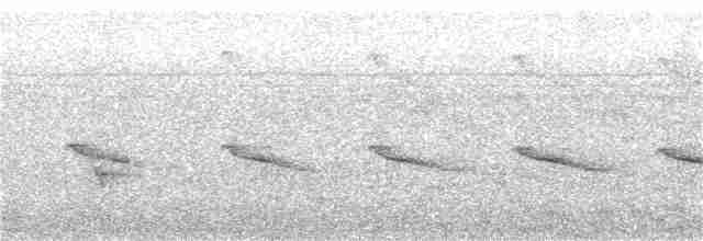 Crescent-chested Puffbird - ML166284181