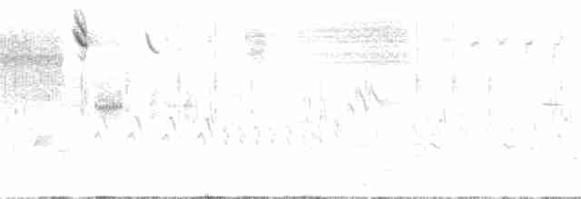 Büyük Çil Yelvesi - ML166288941