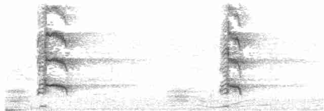Австралийская султанка - ML166314801