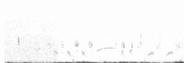Eastern Orphean Warbler - ML166335751