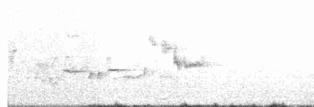 Eastern Orphean Warbler - ML166335761