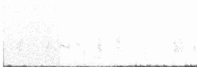 Red-tailed Shrike - ML166336161