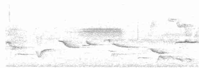 白斑紫嘯鶇 - ML166340601