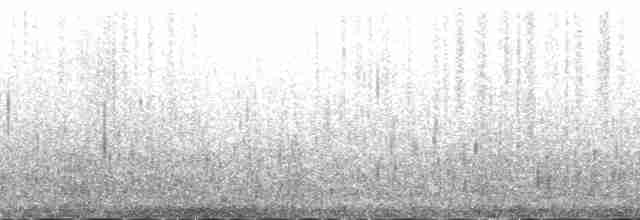 Kaşık Gagalı Kumkuşu - ML166354