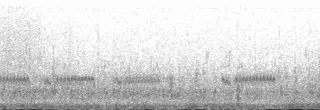 Kaşık Gagalı Kumkuşu - ML166355