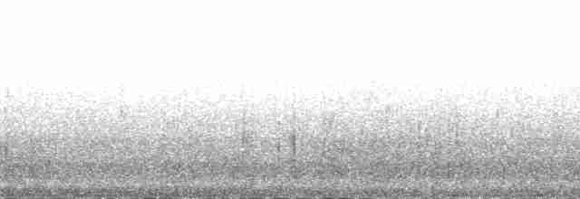 Kaşık Gagalı Kumkuşu - ML166356
