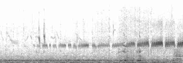 Kaşık Gagalı Kumkuşu - ML166358