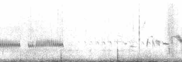 Kaşık Gagalı Kumkuşu - ML166360