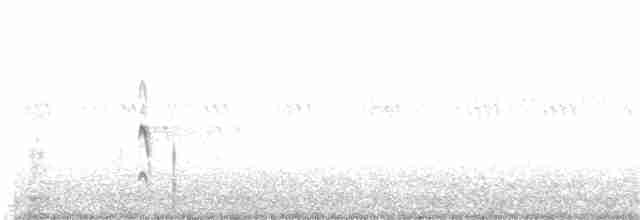 Çatal Kuyruklu Tiran - ML166362851