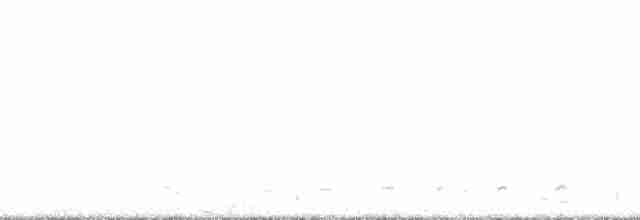 Гагара білодзьоба - ML166365
