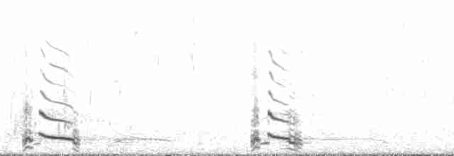 Гагара білодзьоба - ML166366