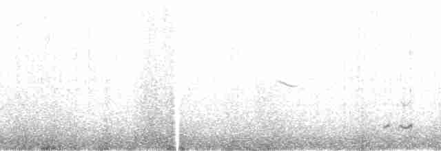 Kaşık Gagalı Kumkuşu - ML166372
