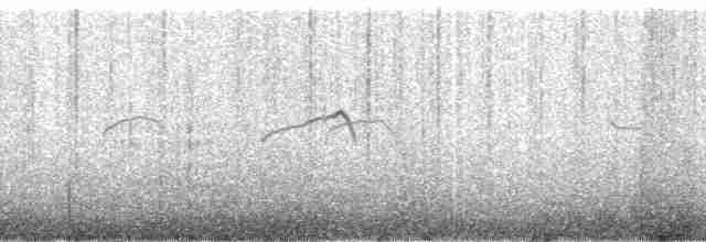 Kaşık Gagalı Kumkuşu - ML166373