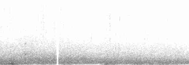 Kaşık Gagalı Kumkuşu - ML166374