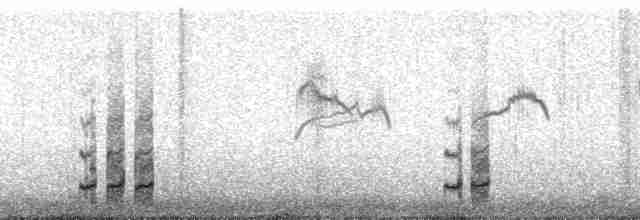 Kaşık Gagalı Kumkuşu - ML166378