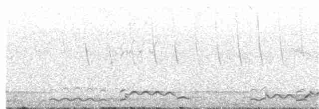 Гагара полярна - ML166398721