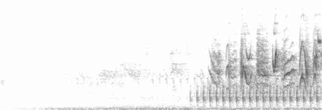 Braunaugenvireo (pusillus) - ML166406771