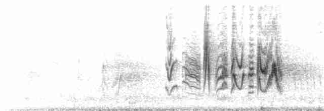 Braunaugenvireo (pusillus) - ML166408211