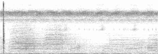 Dunkelbrust-Dickichtschlüpfer - ML166460171