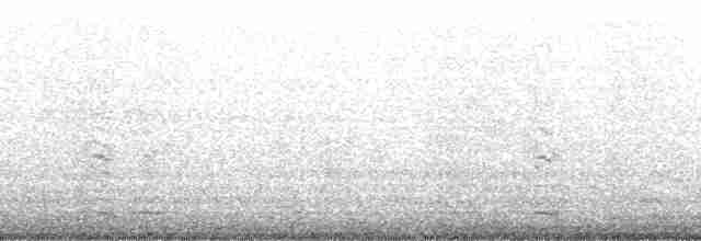 אוריה שחורה - ML166499