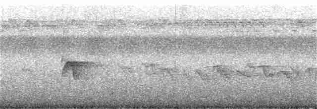 Teteparebrillenvogel - ML166528251