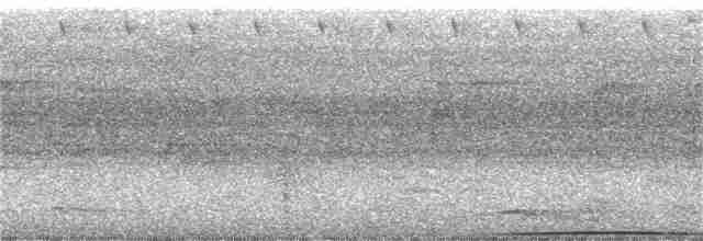 holub labutí - ML166528781