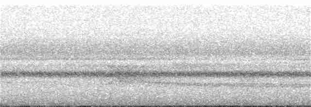 Каштановый флейтист - ML166548801