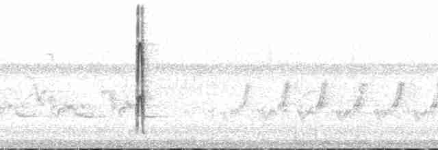 Dunenspecht (pubescens/medianus) - ML166558