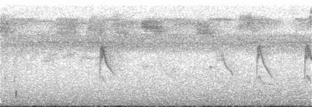 Papuabrillenvogel - ML166569141