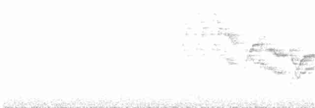 Пестрогорлый соловьиный дрозд - ML166572691