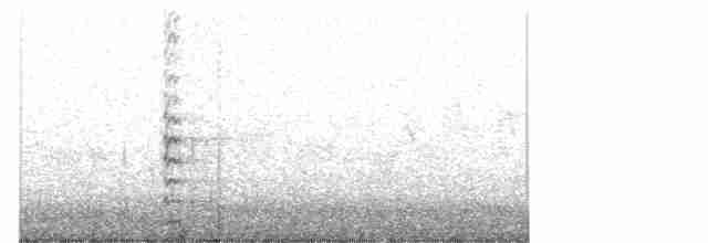 Common Gallinule - ML166648941